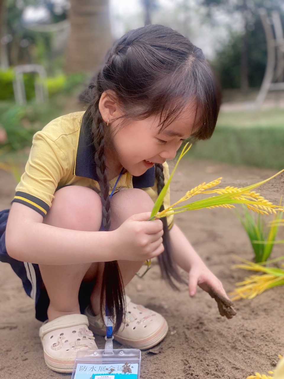 Cùng Bé MN Bình Minh I Tham quan trải nghiệm năm 2024